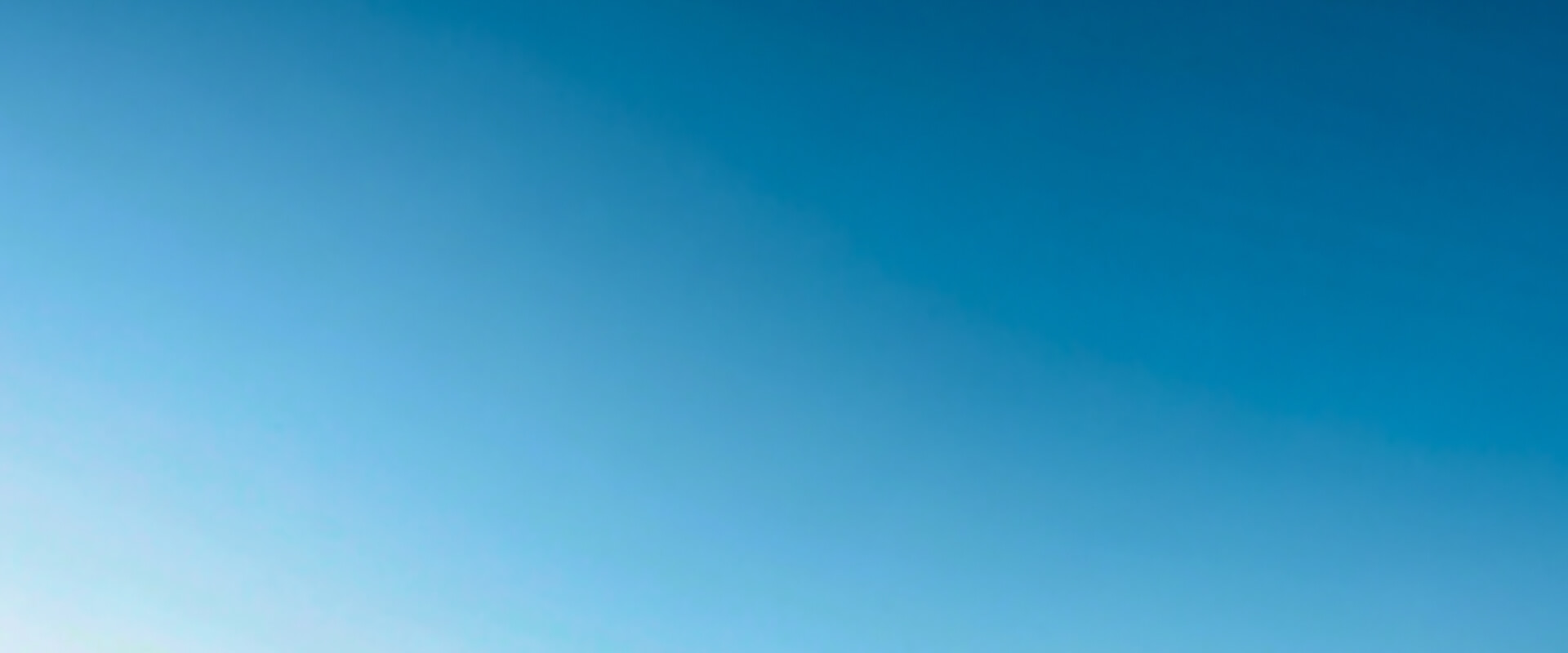 f1_bg_02.jpg